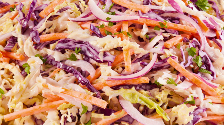 coleslaw with lots of veggies