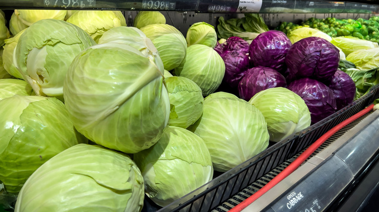 two varieties of cabbage at store