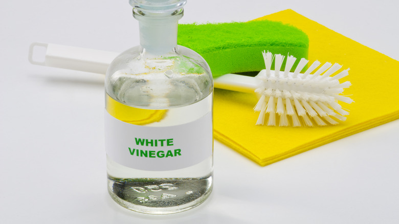 cleaning with white vinegar