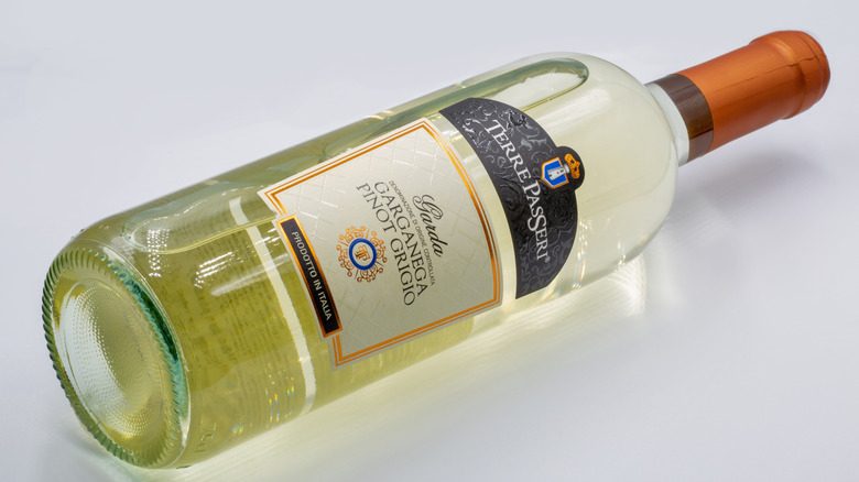 Terre Passeri Pinot Grigio 2023