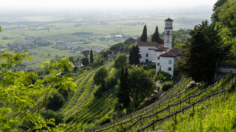 hillside in Collio, Italy