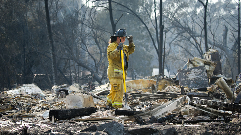 Aftermath of the Santa Rosa Fires