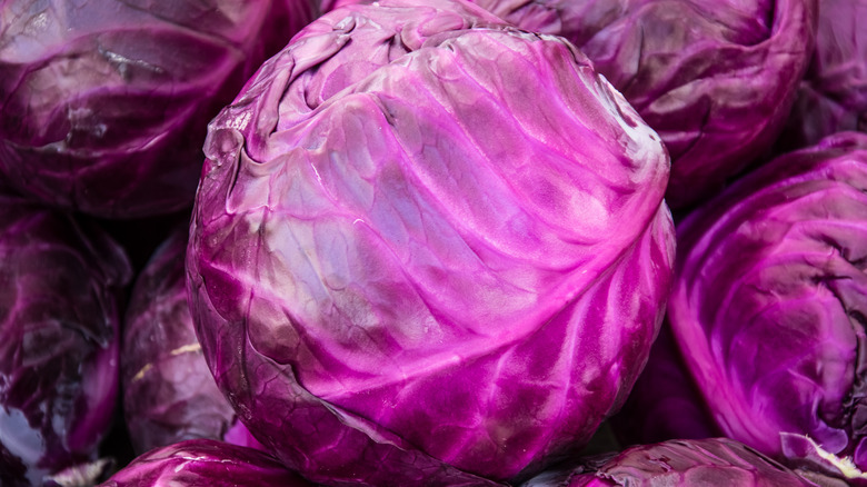 Bunch of fresh purple cabbages