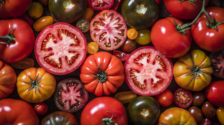 Photo of tomato varieties