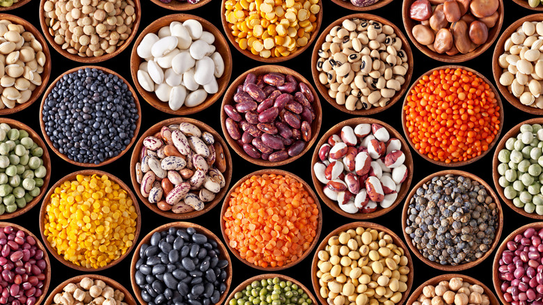 bowls of different dried beans, pulses and lentils