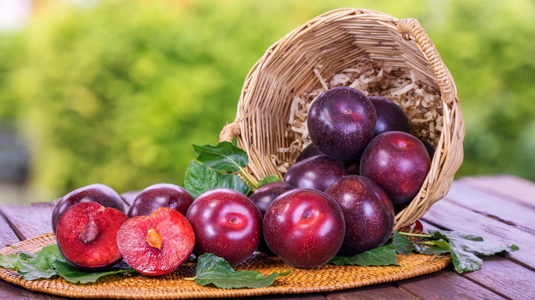 A basket of plums