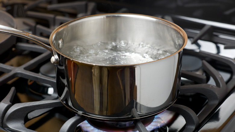 pot of boiling water on stove