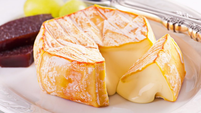 Epoisses cheese on a plate