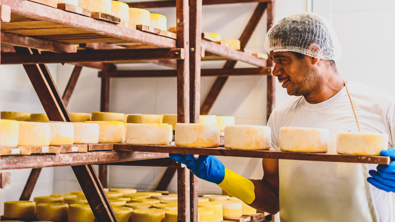 Man making washed rind cheese