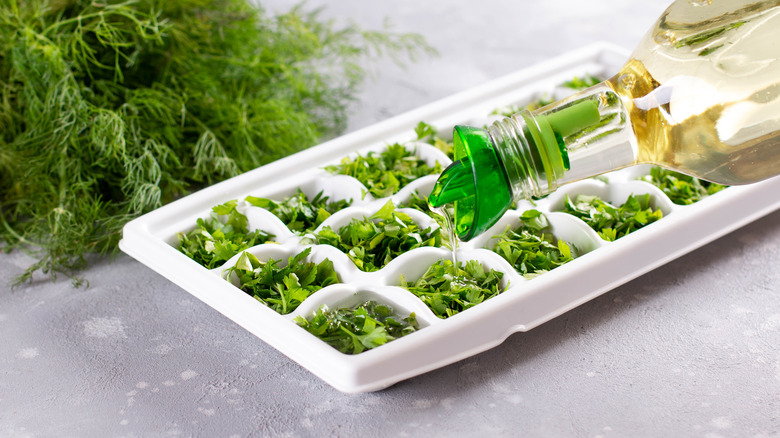 freeze fresh herbs olive oil