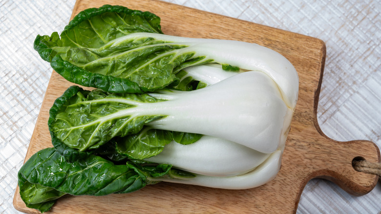 A head of raw bok choy