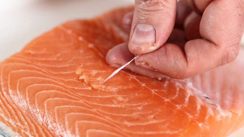 removing pin bones from salmon