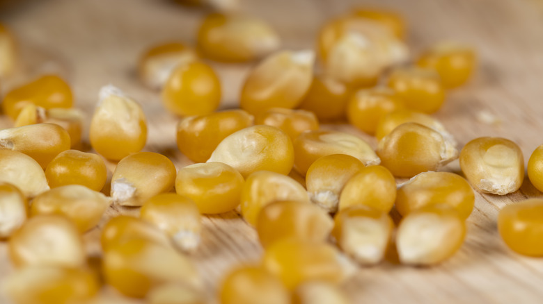 close up of popcorn kernels