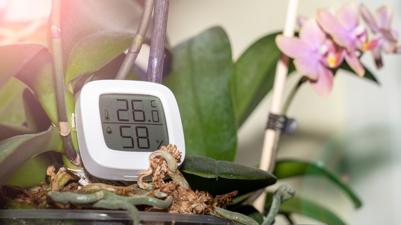 A device measuring humidity for plants