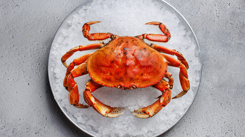 Dungeness crab in an ice dish 