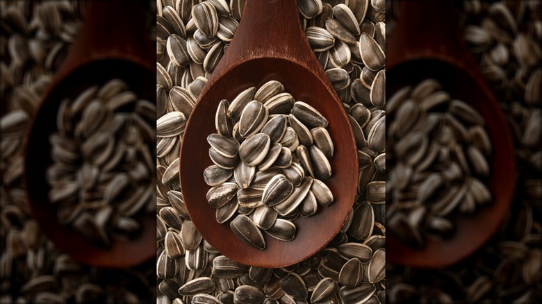 A spoon filled with sunflower seeds