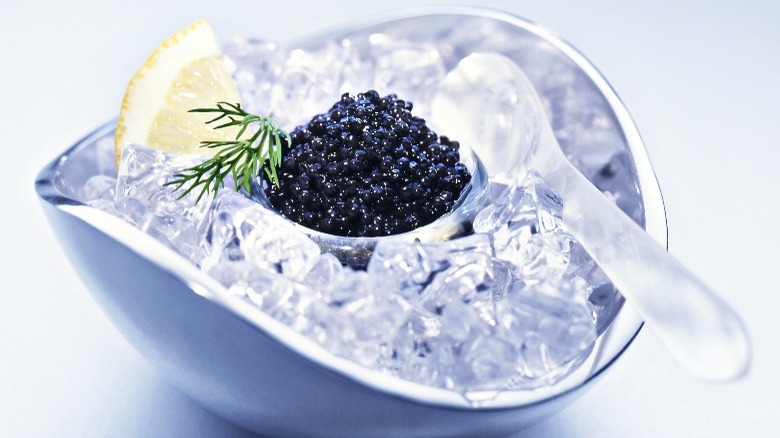 caviar on ice