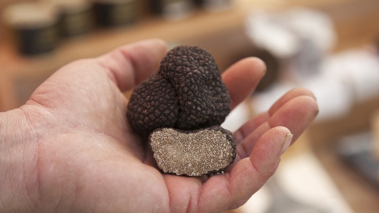 hand holding truffles