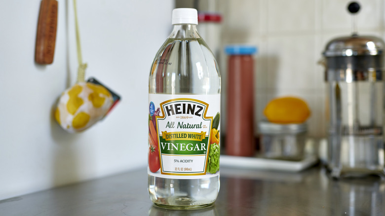 Bottle of vinegar