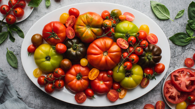 plate of fresh tomatoes