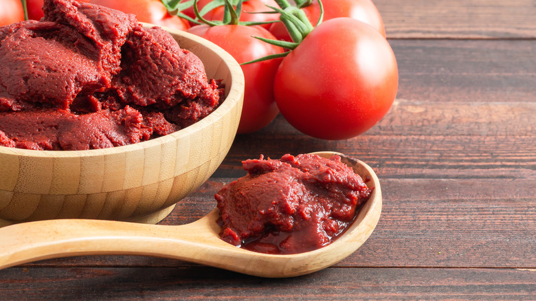 tomato paste in wooden spoon