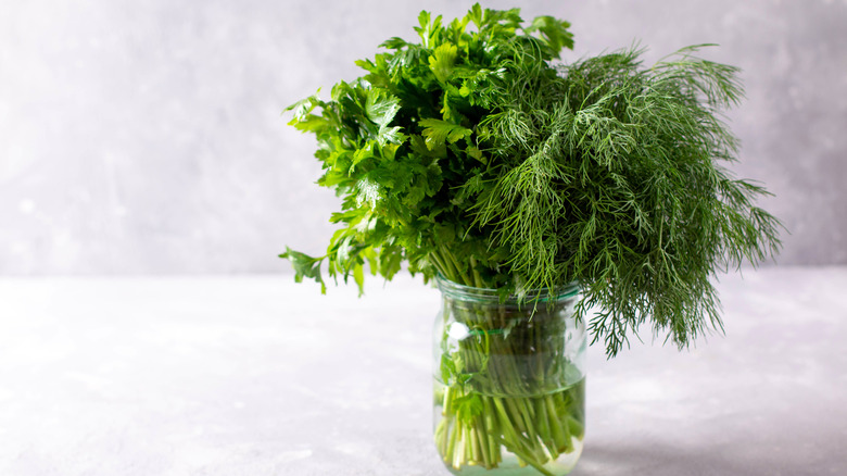 Fresh herbs in jar of water