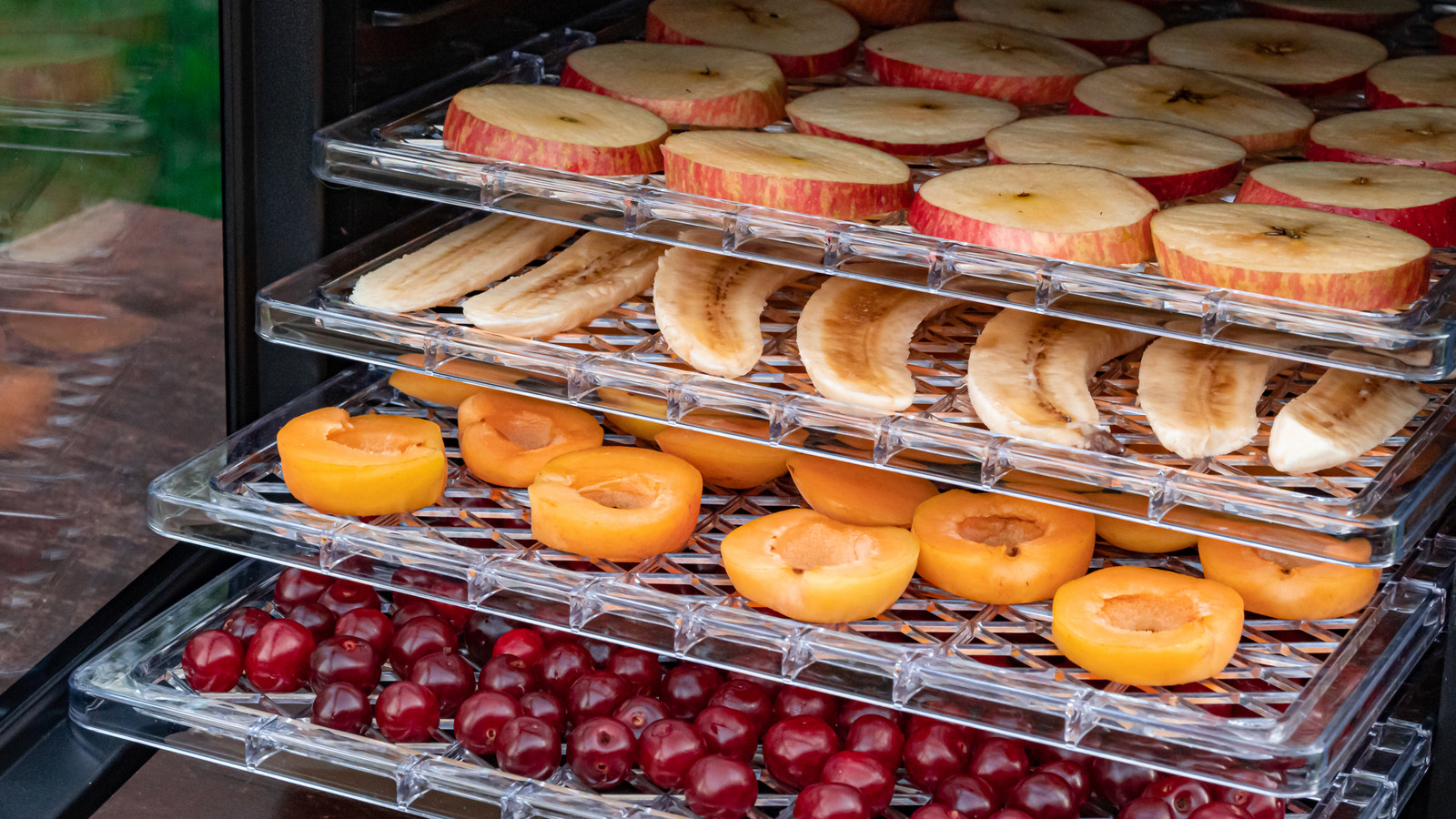 Fridge for Food Dehydrator Optimal Setup and Usage for Dehydration