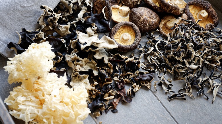 various types of dried mushrooms