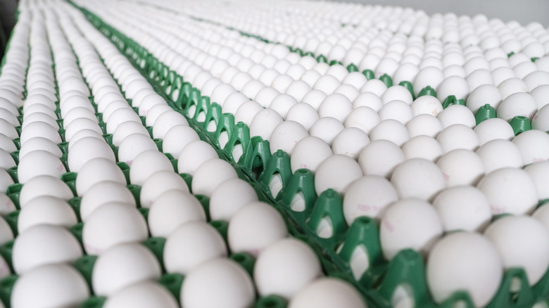 crates of white eggs