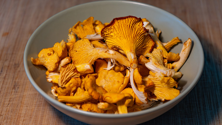 A grey bowl of chanterelle mushrooms on a wooden surface