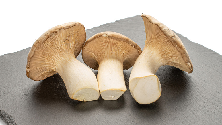 Three fresh king trumpet mushroom on a grey stone on a white background