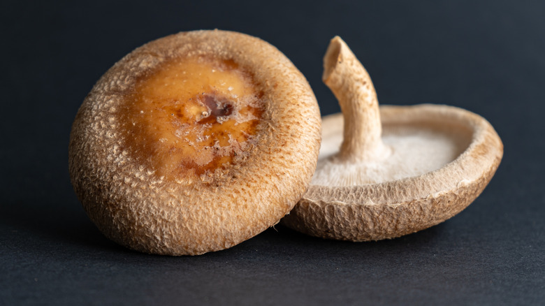 Two fresh shiitake mushrooms on a black background