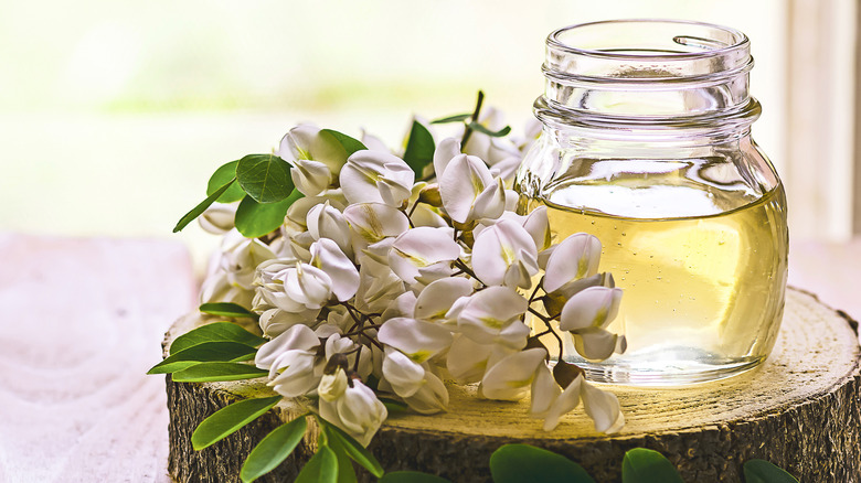 a sprig of white acacia flowers next to a jar of very pale yellow acacia honey