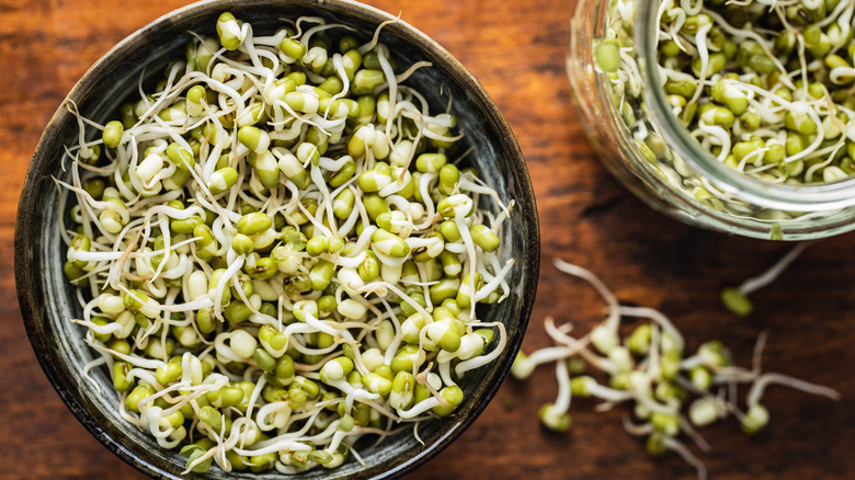 sprouted mung beans