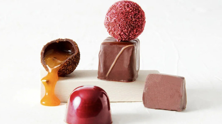 a close-up of some of the chocolates from Dandelion Chocolate's Pearls of the Forest Bonbon Collection