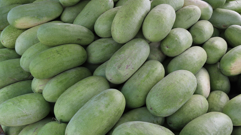 Charleston Gray watermelons