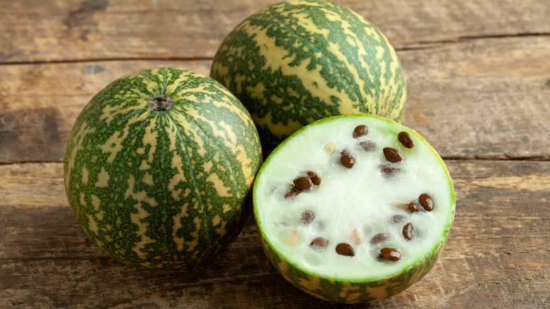 citron red seeded watermelon