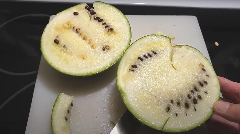 cut Cream of Saskatchewan watermelon