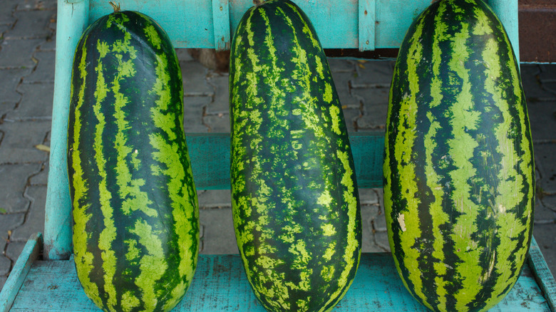 three Jubilee watermelons