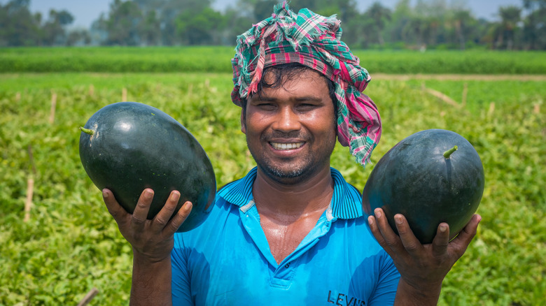 man holding Sugar Baby watermelons