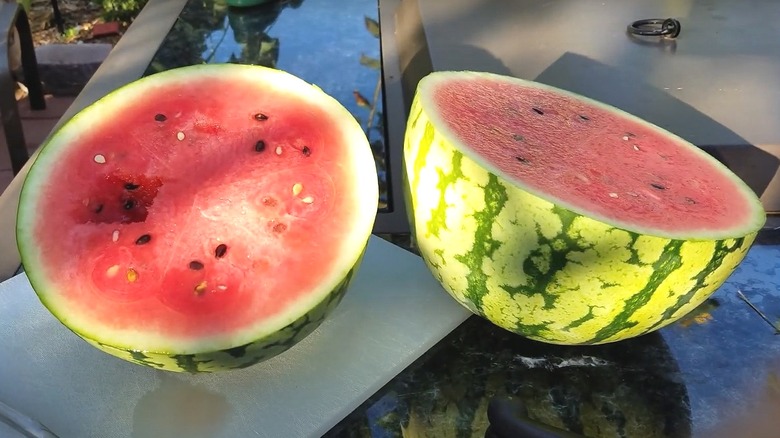 cut Tiger Baby watermelon