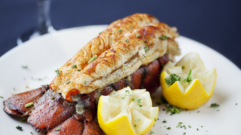 cooked lobster tail on plate