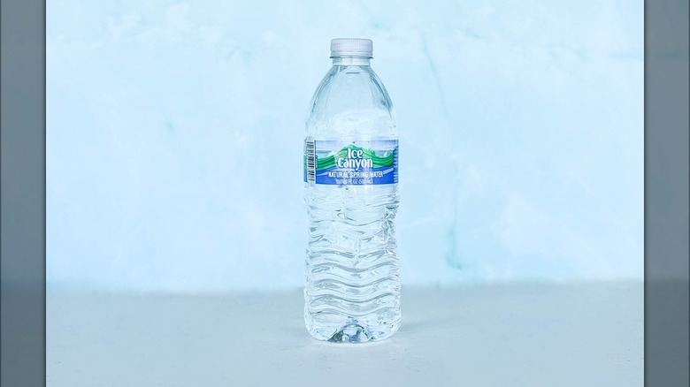 ice canyon water bottle