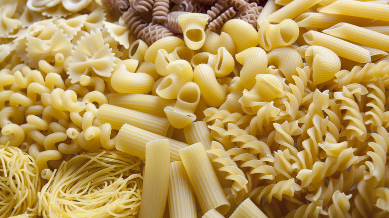 variety of pasta shapes