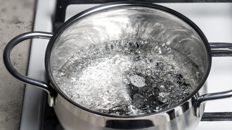 pot of boiling water on stove