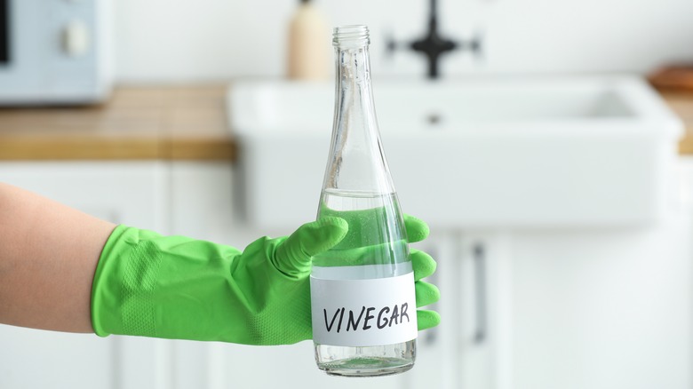 hand holding bottle of vinegar