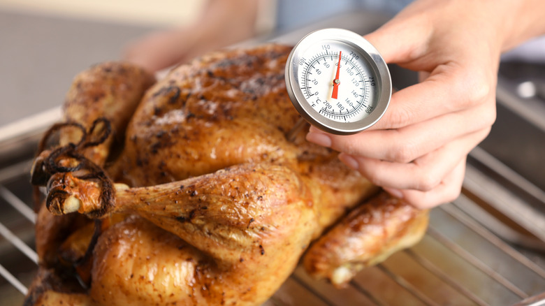 Hand taking temperature of turkey with thermometer