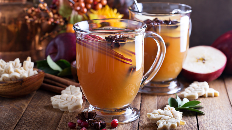 Cider in two clear glass mugs with cinnamon, star anise, and apple slices inside.