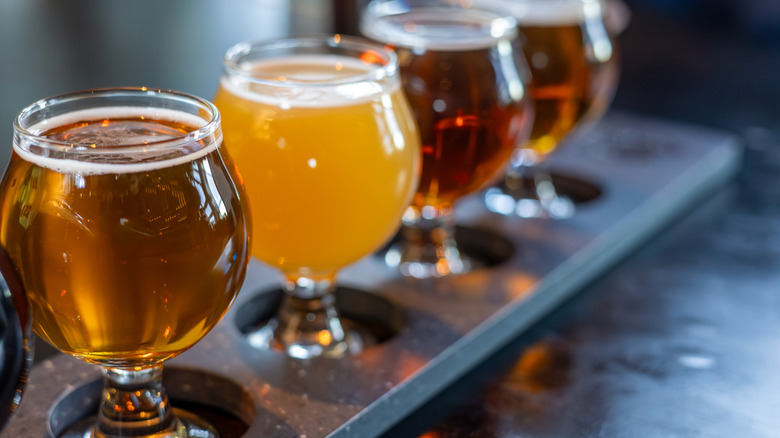 A flight of IPA beers.