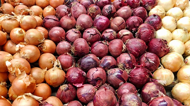 Yellow, red, and sweet onions